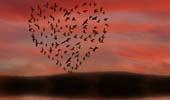 love_is