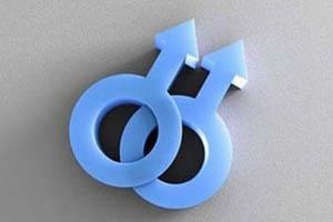 gei