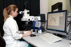Diagnostika