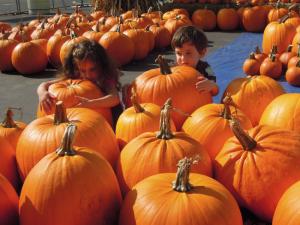 Tykva halloween prazdnik