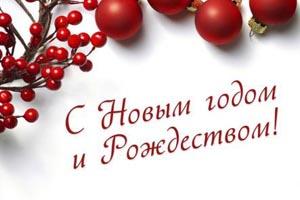 Novi god.l