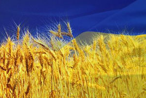 Ukraina