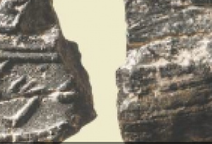 Fragment